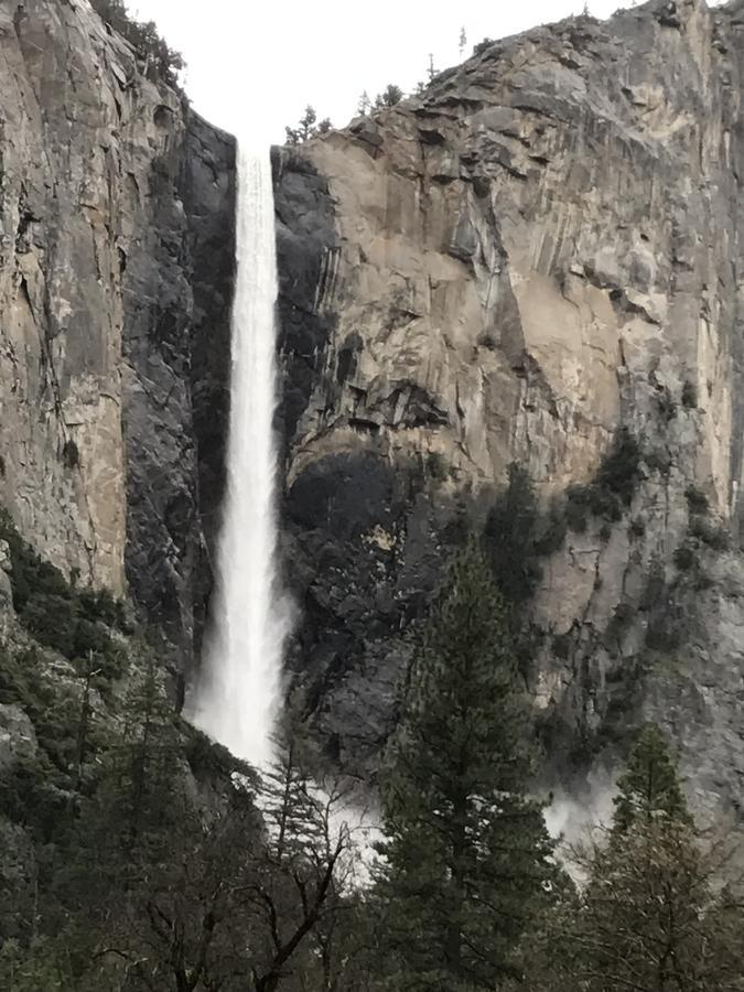 Yosemite Condominium Yosemite West Ngoại thất bức ảnh